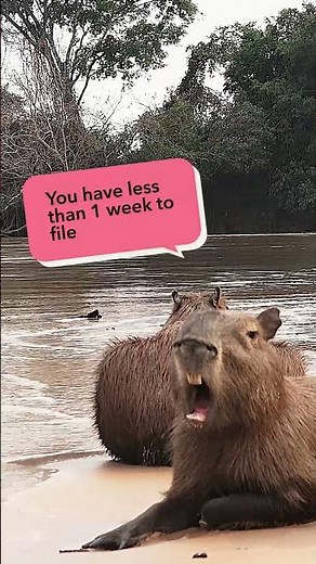 Tax Day is April 15! This is your reminder you've got less than 1 week left to file.