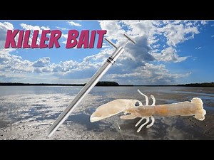 How to Pump Saltwater Yabbies - Collecting Your Own Bait