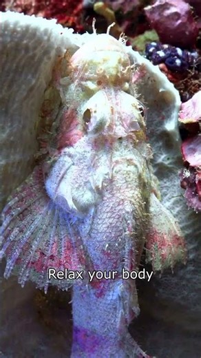 The Most Satisfying Ocean Visuals 💙 #shorts