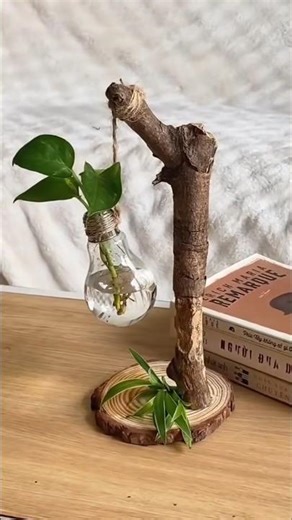 Making a decoration from a used light bulb with plants #handicrafts