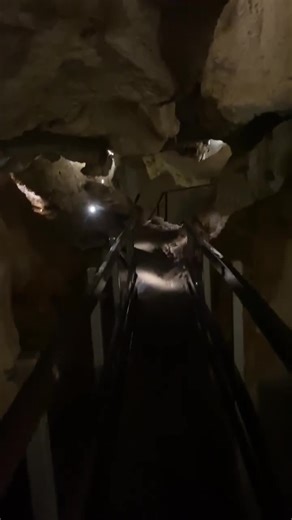 The colours, ambience & sound of rain is magic. Capricorn Caves still tours in the rain. | Capricorn Caves