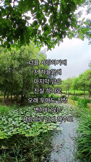 #사랑을 위하여#김종환