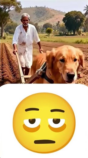 *The Brewing Process Steps:**Malting & Milling:* Barley is germinated