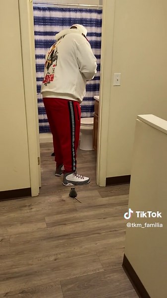 Hilarious Fake Mouse Prank on Couple Comedy