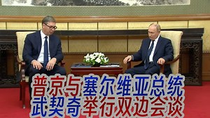 普京与塞尔维亚总统亚历山大·武契奇举行双边会谈