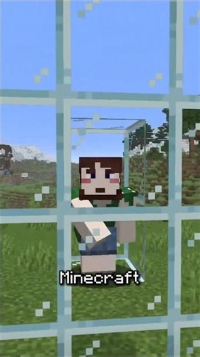 Minecraft Window Problem