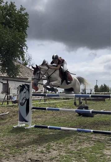 I’m in love😻💥#equestrian #showjumper #slovakshowjumper #florian #arabian #shagyaarab #fyp #foryoupagе #viralvideos #135cm