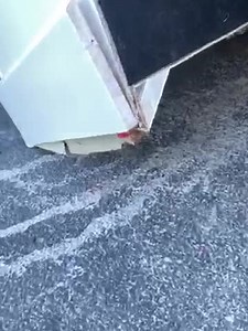 Watch Garbage on Amazon Live