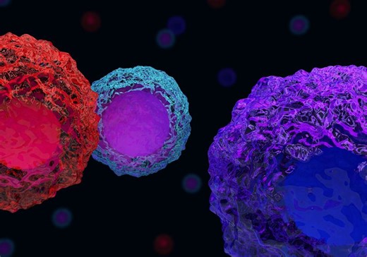 Researchers Publish New T Cell Nomenclature Guidelines