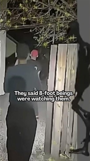 The Las Vegas Backyard Alien Incident 👽 Real Or Mass Hysteria? #shorts #lasvegas #uap #mystery