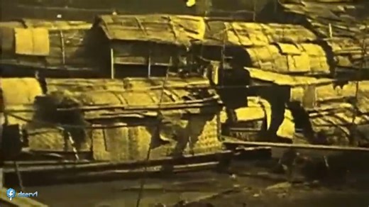 Cats on the river and behind the laundromat. I first tried to capture the kittens behind the laundromat with no luck. Chief and I would see them while doing laundry and I worried as the back alley had dangerous traffic. A week later I hear meows by the river behind my house. After a few days I found them. They were well hidden and had full bellies. Even though I was tempted to bring them in, I decided to leave them food every morning and night, just in case they had a caring mother around. After