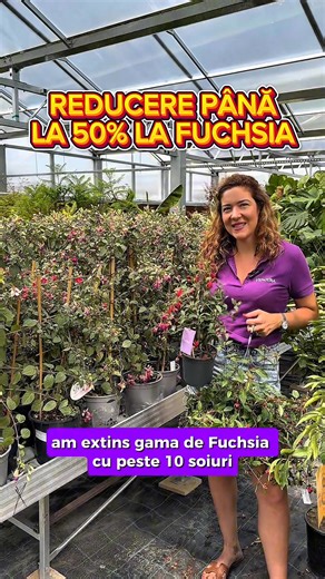 16K views · 126 reactions | Până la 50% reducere la toată gama Fuchsia!  Profită de reduceri acum: https://f.mtr.cool/wxqzhwgcwh #VerdenaRo #gradinaverdena #fuchsia #flori #culori #plant | Verdena.ro | Facebook