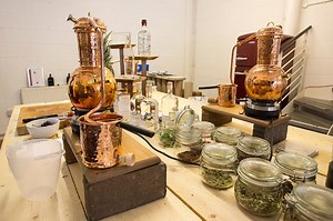 Scottish gin distillery guide: the best distilleries in Scotland you can visit for a tour or day trip