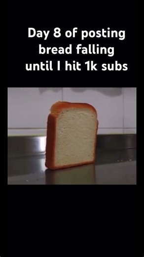 Day 8!🎃👻 #breadfalling #memes #funny