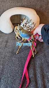 83K views · 13K reactions | In loving memory. I will be posting...