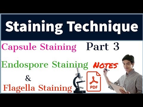 Capsule Staining in Hindi | Endospore Staining Procedure | Flagella Staining in Hindi | Part 3 |