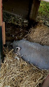 58 reactions | We’ve been lucky with the weather so far, but it’s...