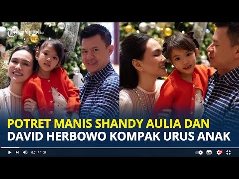POTRET Manis Shandy Aulia dan Mantan Suaminya David Herbowo usai 2 Tahun Cerai, Kompak Urus Anak