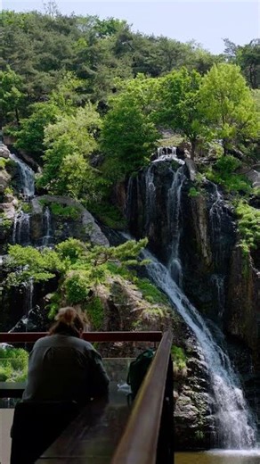 서울에 이런곳이? 서울 '수변감성' 끝판왕 폭포뷰 카페 테라스🌿 #shorts #서울시 #서울 #SEOUL
