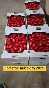 90 reactions · 7 comments | A family tradition on the farm, making tomato sauce. 1 day, 6 bushels later... a yearly supply of the perfect sauce  #familytime #tomatoe #sauce #familybusiness #greenhouse #gardencenter | Gaeta Farms and Greenhouses | Facebook