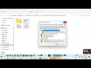 como instalar net framework 3.5 como activar en windows 11