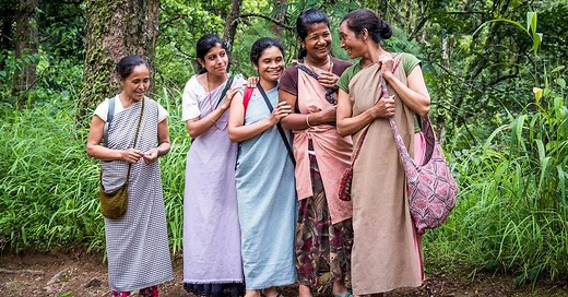 About Rare Tea | Loose Leaf Tea