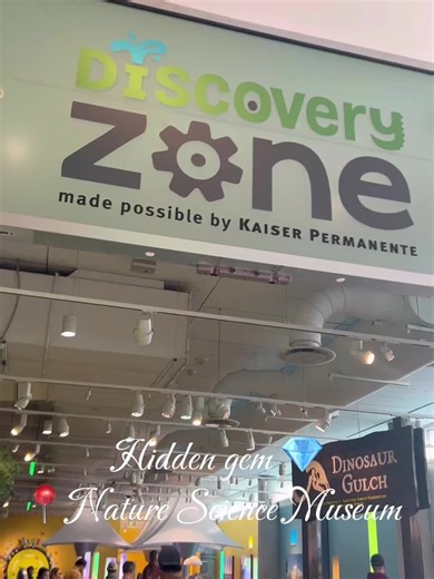 Hidden Gem: Discovery Zone at the Nature Science Museum