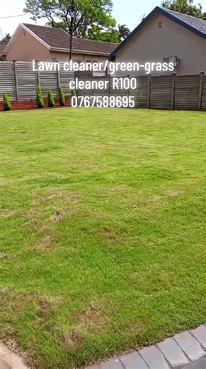 Effective Yard Cleaning Tips for a Lush Green Lawn