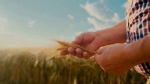 Americo Life Inc. TV Spot, 'Now More Than Ever'