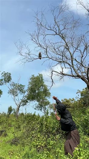 aiming at large birds using a slingshot🥵