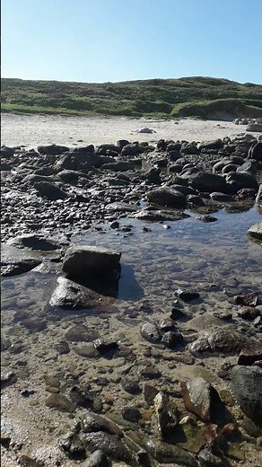 Beautiful day at the beach