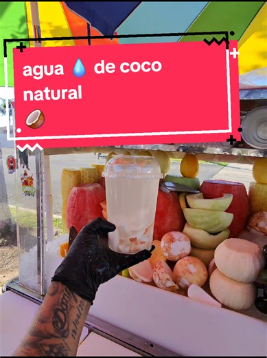 Agua de Coco 100% Natural y Bien Helada