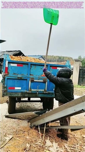 Guiding the Harvest: How Creative Signaling Streamlines Grain Unloading