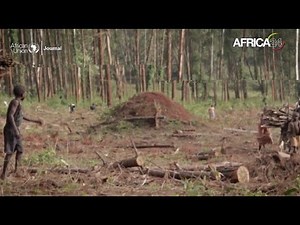 African Union Journal - Défis Climatiques : le WASCAL soutient les stratégies d’adaptation