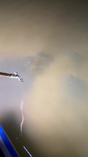 Gigging Texas Flounder. #nightmovesgigging #outriggeroutdoors #longbeachcustomboats