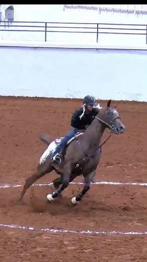 Amazing Horse Barrel Racing Skills - Ex-Racehorse Turbo Turns Like a Pro!