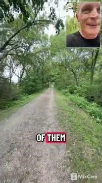 We are not afraid of life, we're afraid of emotions that we experience. #selfgrowth #lifebydesign