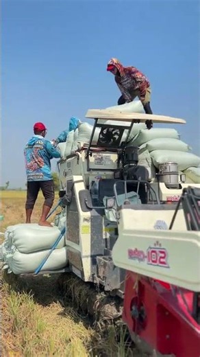 MAXXI || #maxxibimoterbaru #combineharvester #maxxibimo102standar #automobile #combinepadi #farming