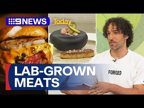 Lab-grown meat in final stages of approval in Australia | 9 News Australia