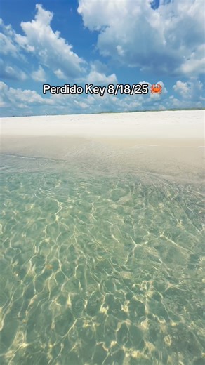57K views · 1.3K reactions | Perdido Key today  | All Things Emerald Coast | Facebook