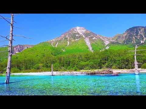 4K映像 絶景「新緑の上高地 梓川と焼岳 大正池上流」 日本の美しい四季 長野県松本市 5月下旬 自然風景