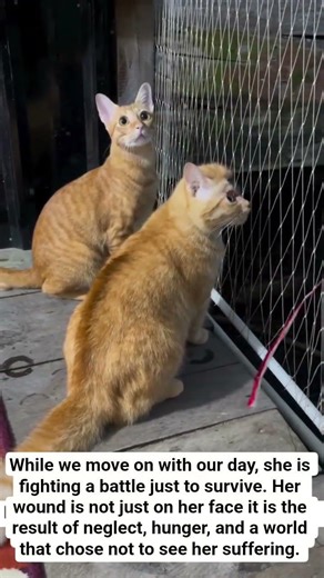 It’s easy to scroll past videoslike this It’s easyto look away But she cannot look away fromher pain