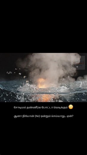 Sodium vs Neon 🔥 | 30 secல Chemistry புரிஞ்சுக்கலாம் | Grade 10/11 Science #ScienceTamil