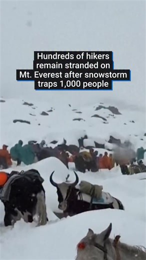 1,000 people on Mount Everest's eastern slopes in Tibet during China's Golden Week national holiday. Here's a summary of the situation: Rescue Efforts: A massive rescue operation was launched, involving local villagers, rescue teams, and emergency workers, to clear paths and evacuate those stranded at elevations above 16,000 feet. Hiker Conditions: Trekkers described "extreme" conditions, including heavy snowfall, freezing temperatures, and collapsing tents, with hypothermia being a significant 