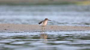 1.3K views · 52 reactions | Happy Monday!  Today's sights and...