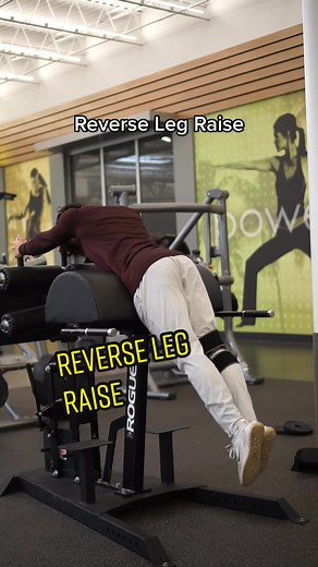 Strengthen Your Lower Back with Reverse Leg Raise Exercises