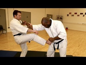 The Secrets Steven Seagal knew about making Aikido work but hid from everyone