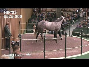 Acting Out sells for $600,000 at the 2022 April Horses of Racing Age Sale