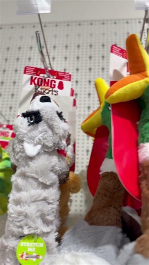 💥 De nouveaux jouets KONG à découvrir !