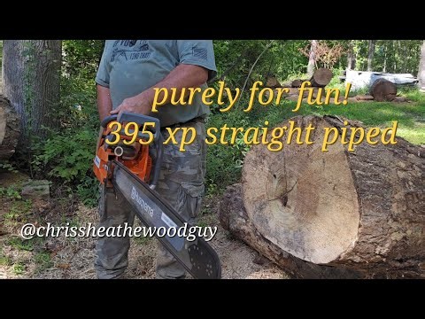Stihl 066 vs holzfforma G395xp, did not exspect that. #chainsawreview #headtohead